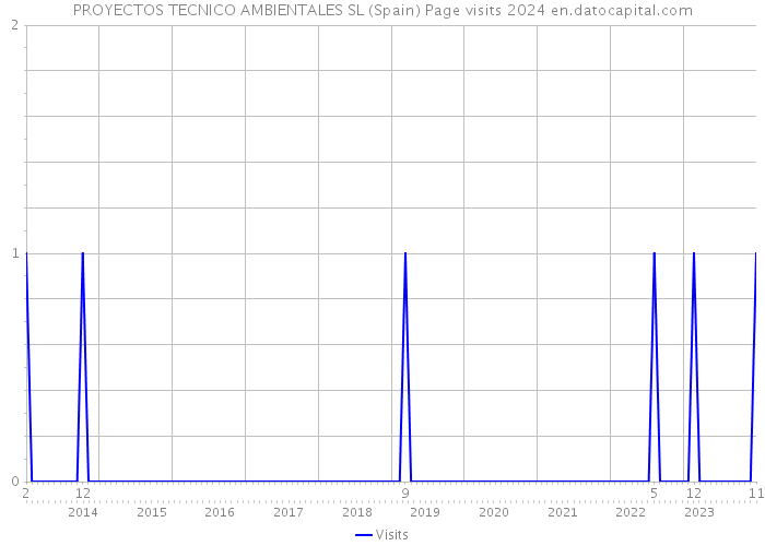 PROYECTOS TECNICO AMBIENTALES SL (Spain) Page visits 2024 