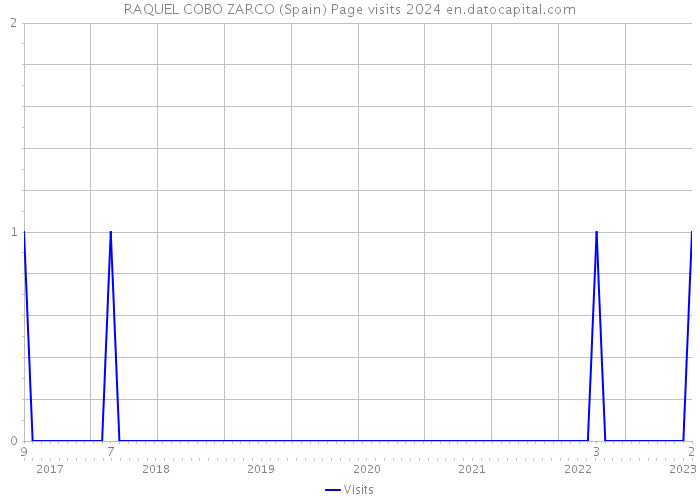 RAQUEL COBO ZARCO (Spain) Page visits 2024 