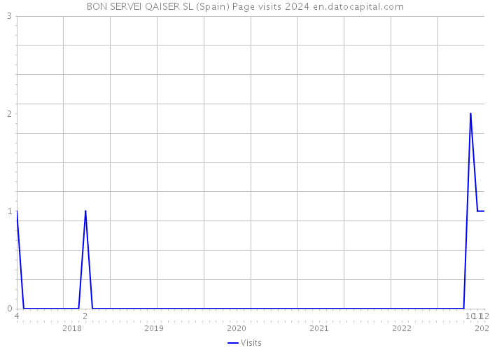 BON SERVEI QAISER SL (Spain) Page visits 2024 