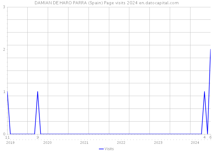 DAMIAN DE HARO PARRA (Spain) Page visits 2024 
