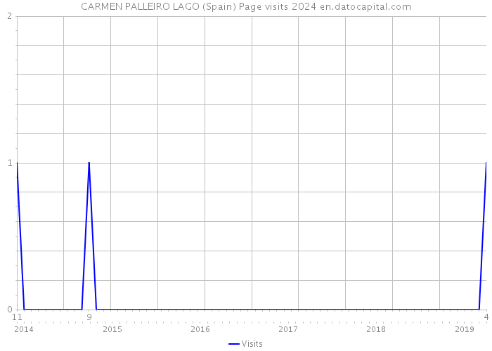CARMEN PALLEIRO LAGO (Spain) Page visits 2024 
