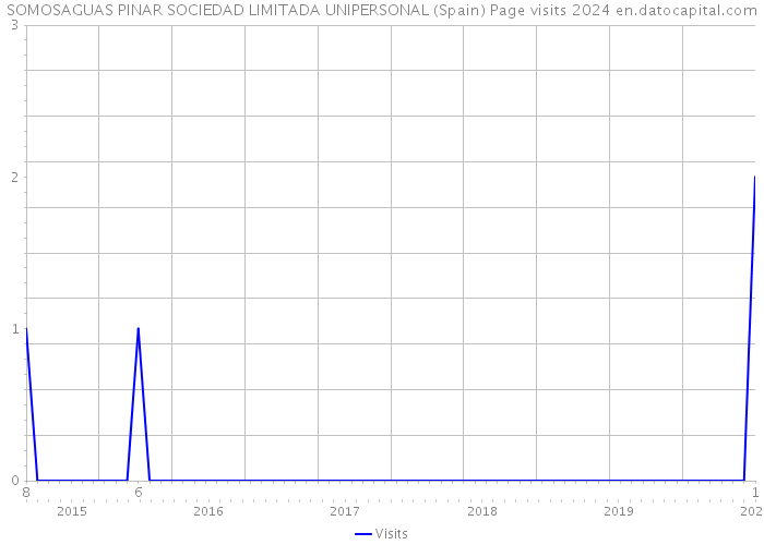 SOMOSAGUAS PINAR SOCIEDAD LIMITADA UNIPERSONAL (Spain) Page visits 2024 