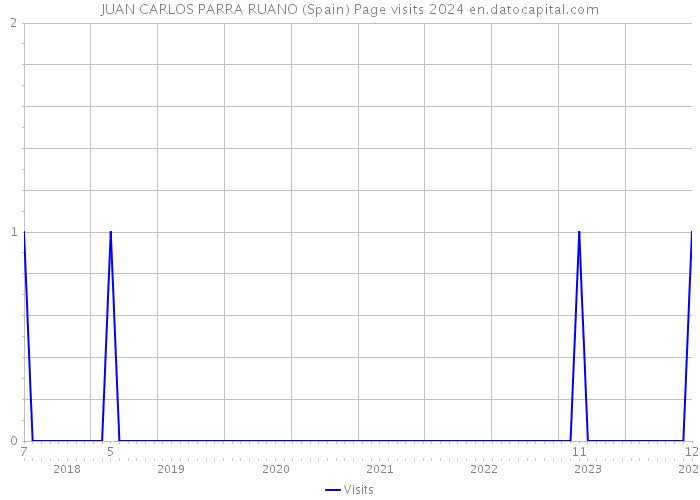 JUAN CARLOS PARRA RUANO (Spain) Page visits 2024 