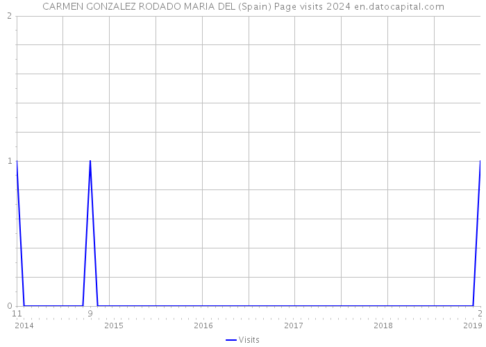 CARMEN GONZALEZ RODADO MARIA DEL (Spain) Page visits 2024 