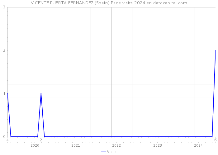 VICENTE PUERTA FERNANDEZ (Spain) Page visits 2024 