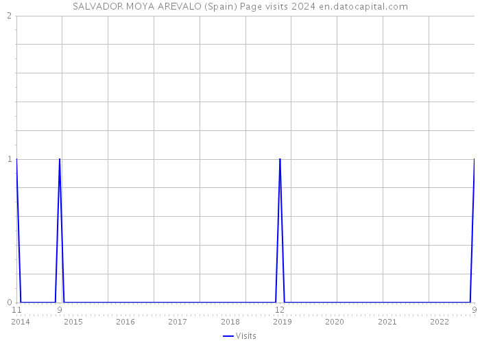 SALVADOR MOYA AREVALO (Spain) Page visits 2024 