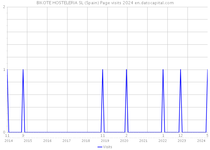 BIKOTE HOSTELERIA SL (Spain) Page visits 2024 