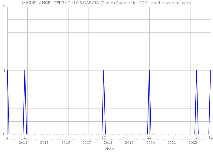 MIGUEL ANGEL TERRADILLOS GARCIA (Spain) Page visits 2024 