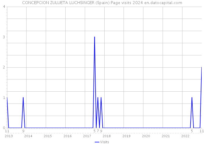 CONCEPCION ZULUETA LUCHSINGER (Spain) Page visits 2024 