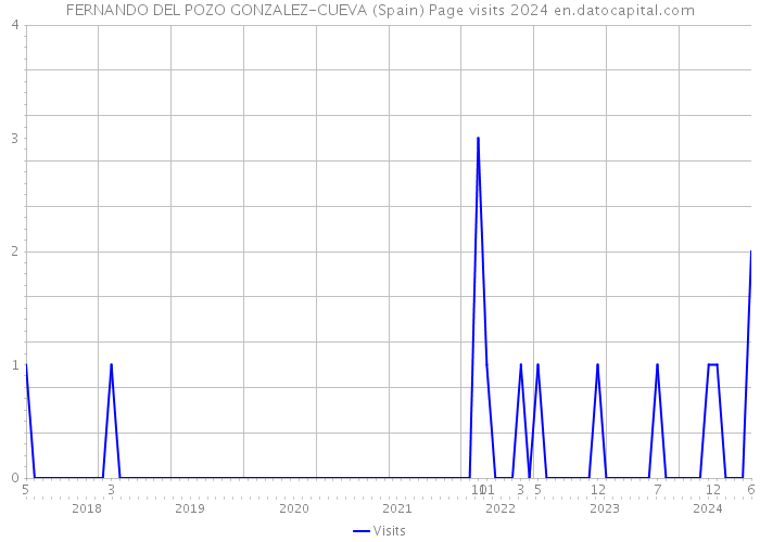 FERNANDO DEL POZO GONZALEZ-CUEVA (Spain) Page visits 2024 