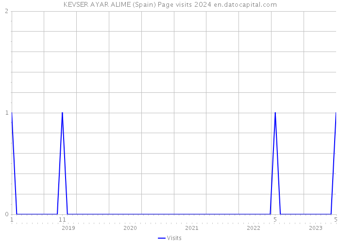 KEVSER AYAR ALIME (Spain) Page visits 2024 