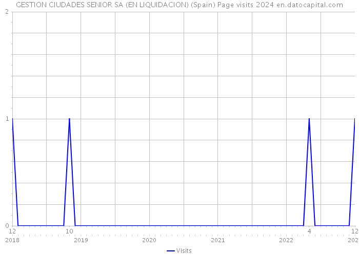 GESTION CIUDADES SENIOR SA (EN LIQUIDACION) (Spain) Page visits 2024 