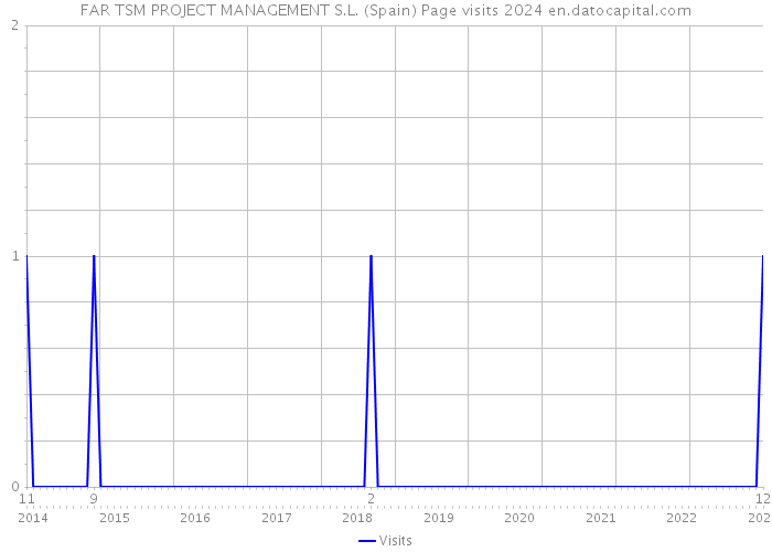 FAR TSM PROJECT MANAGEMENT S.L. (Spain) Page visits 2024 
