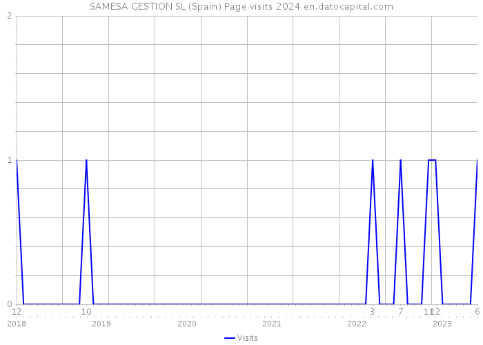SAMESA GESTION SL (Spain) Page visits 2024 