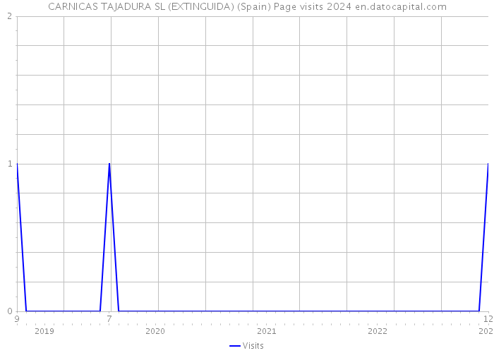 CARNICAS TAJADURA SL (EXTINGUIDA) (Spain) Page visits 2024 