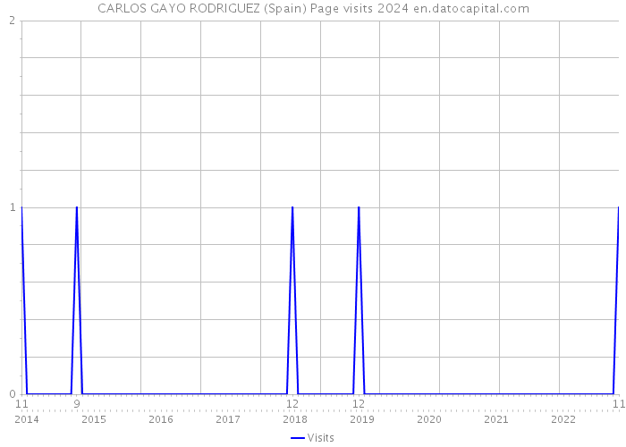 CARLOS GAYO RODRIGUEZ (Spain) Page visits 2024 