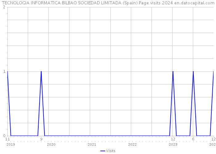 TECNOLOGIA INFORMATICA BILBAO SOCIEDAD LIMITADA (Spain) Page visits 2024 