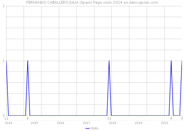 FERNANDO CABALLERO JULIA (Spain) Page visits 2024 