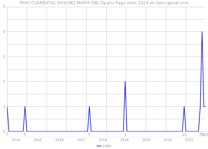 PINO CUARENTAL SANCHEZ MARIA DEL (Spain) Page visits 2024 