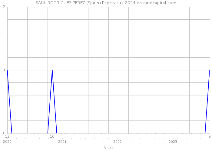 SAUL RODRIGUEZ PEREZ (Spain) Page visits 2024 