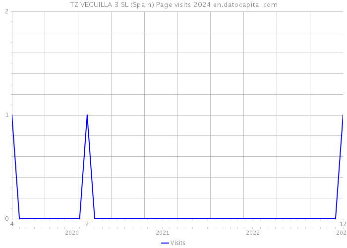 TZ VEGUILLA 3 SL (Spain) Page visits 2024 