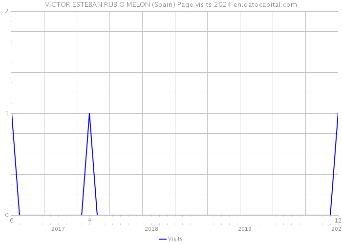 VICTOR ESTEBAN RUBIO MELON (Spain) Page visits 2024 