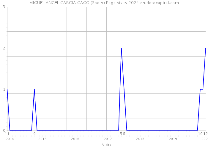 MIGUEL ANGEL GARCIA GAGO (Spain) Page visits 2024 