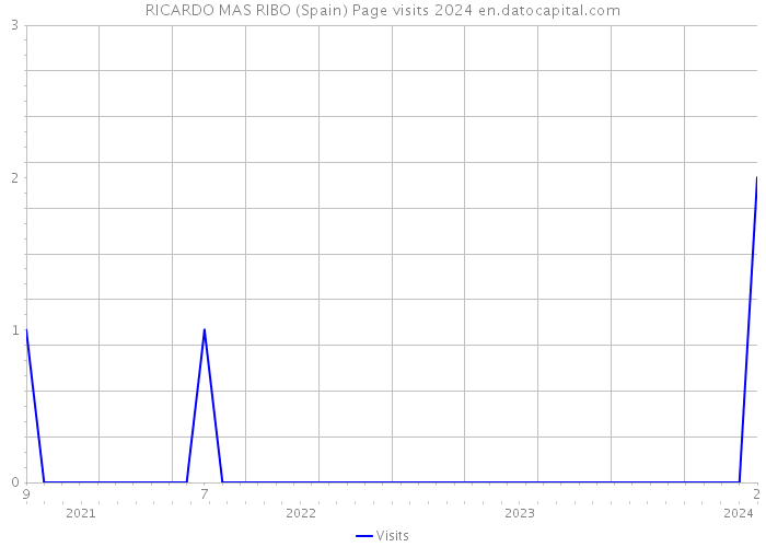RICARDO MAS RIBO (Spain) Page visits 2024 