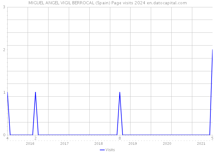MIGUEL ANGEL VIGIL BERROCAL (Spain) Page visits 2024 