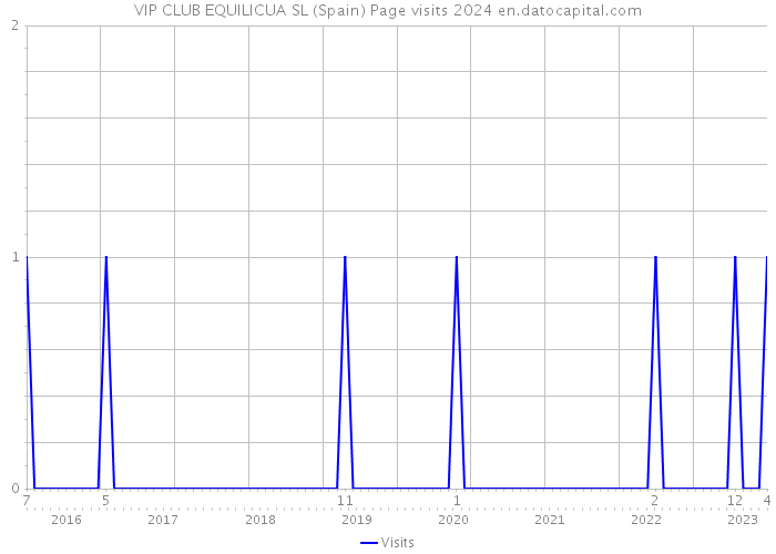 VIP CLUB EQUILICUA SL (Spain) Page visits 2024 