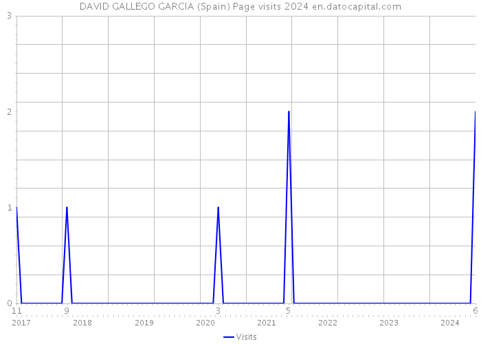 DAVID GALLEGO GARCIA (Spain) Page visits 2024 