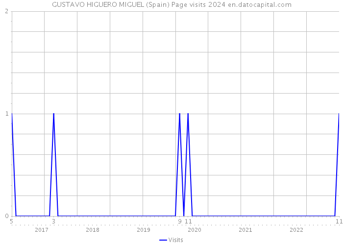 GUSTAVO HIGUERO MIGUEL (Spain) Page visits 2024 