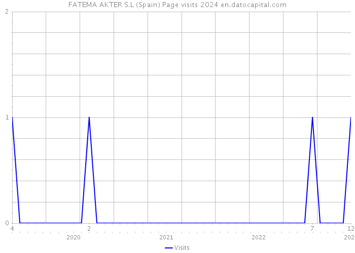 FATEMA AKTER S.L (Spain) Page visits 2024 