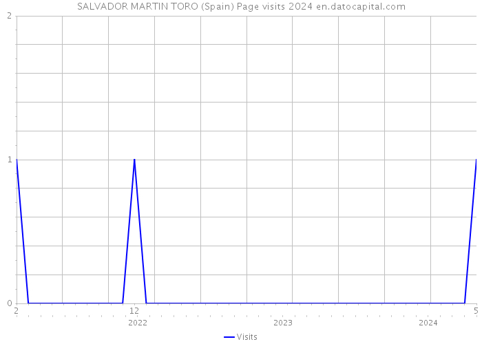 SALVADOR MARTIN TORO (Spain) Page visits 2024 