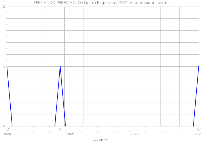 FERNANDO PEREZ MALO (Spain) Page visits 2024 