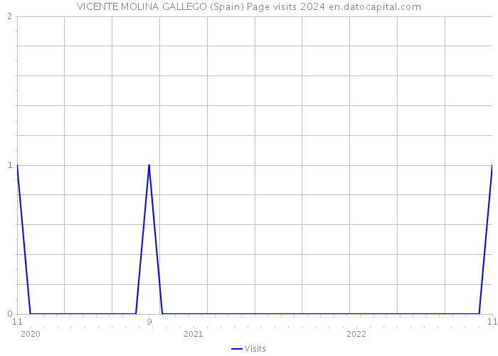 VICENTE MOLINA GALLEGO (Spain) Page visits 2024 