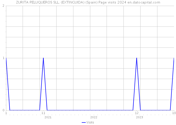 ZURITA PELUQUEROS SLL. (EXTINGUIDA) (Spain) Page visits 2024 