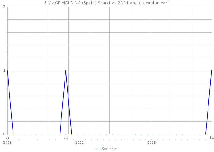 B.V AGP HOLDING (Spain) Searches 2024 