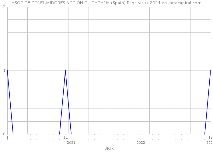 ASOC DE CONSUMIDORES ACCION CIUDADANA (Spain) Page visits 2024 