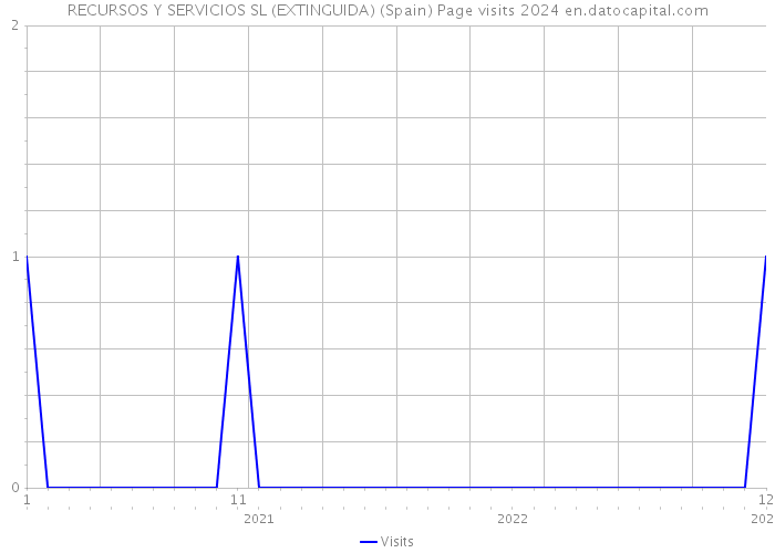 RECURSOS Y SERVICIOS SL (EXTINGUIDA) (Spain) Page visits 2024 