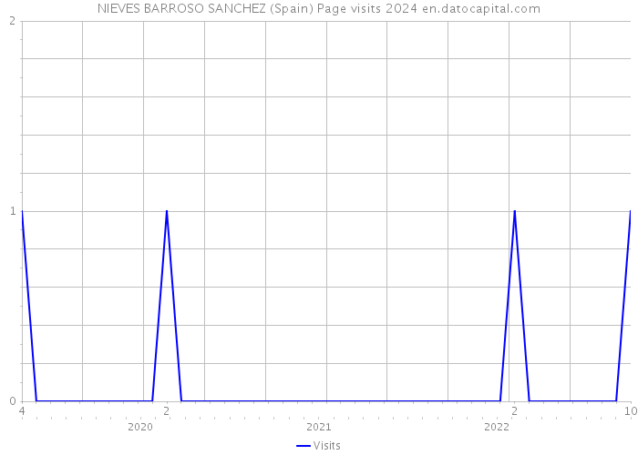 NIEVES BARROSO SANCHEZ (Spain) Page visits 2024 