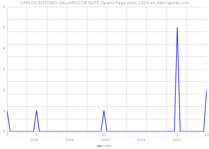 CARLOS ANTONIO GALLARDO DE RUTE (Spain) Page visits 2024 