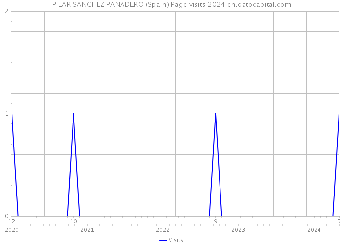 PILAR SANCHEZ PANADERO (Spain) Page visits 2024 