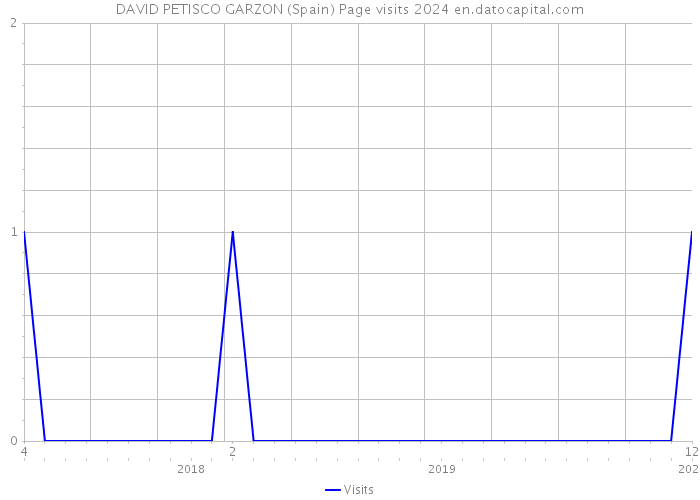 DAVID PETISCO GARZON (Spain) Page visits 2024 