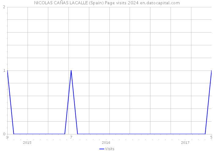 NICOLAS CAÑAS LACALLE (Spain) Page visits 2024 