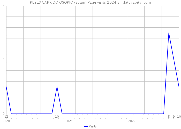 REYES GARRIDO OSORIO (Spain) Page visits 2024 