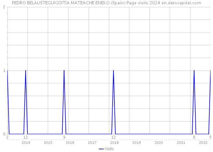 PEDRO BELAUSTEGUIGOITIA MATEACHE ENEKO (Spain) Page visits 2024 