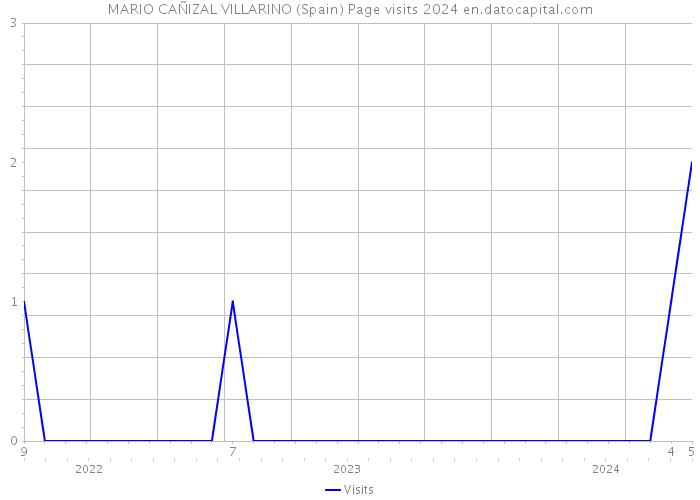 MARIO CAÑIZAL VILLARINO (Spain) Page visits 2024 