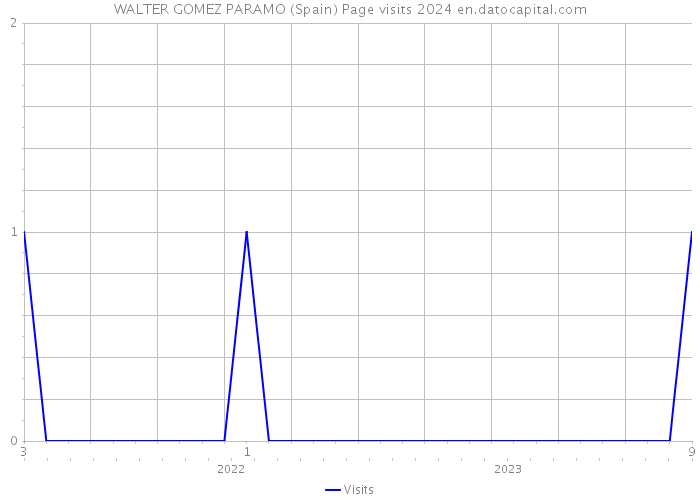 WALTER GOMEZ PARAMO (Spain) Page visits 2024 