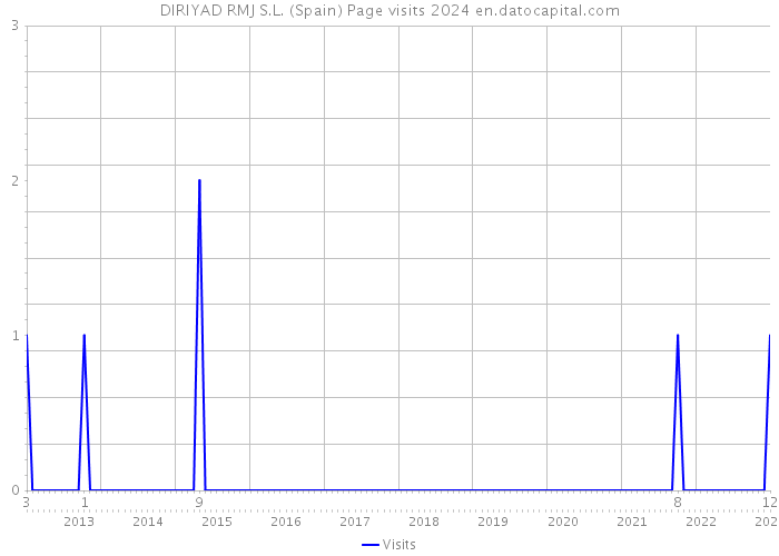 DIRIYAD RMJ S.L. (Spain) Page visits 2024 